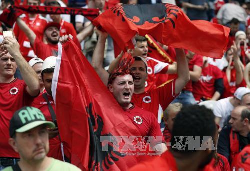 Sắc màu cổ động viên EURO 2016 ảnh 4