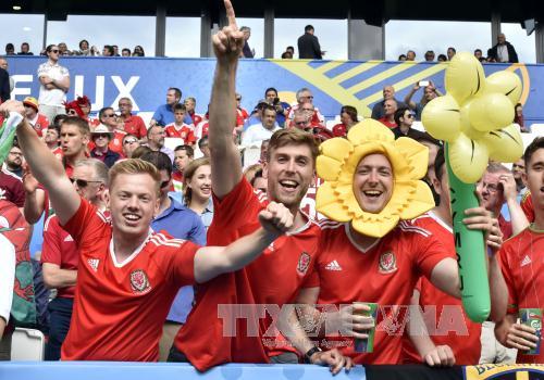 Sắc màu cổ động viên EURO 2016 ảnh 5