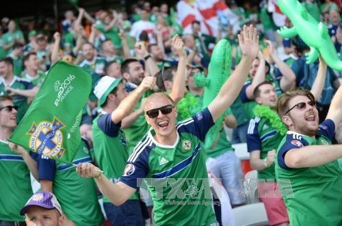 Sắc màu cổ động viên EURO 2016 ảnh 9