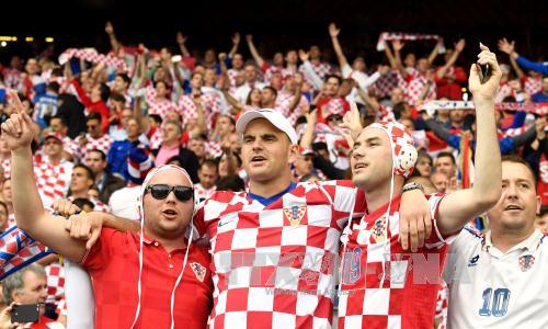 Sắc màu cổ động viên EURO 2016 ảnh 8