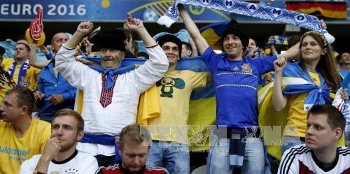 Sắc màu cổ động viên EURO 2016 ảnh 12