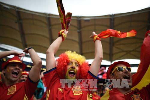 Sắc màu cổ động viên EURO 2016 ảnh 13