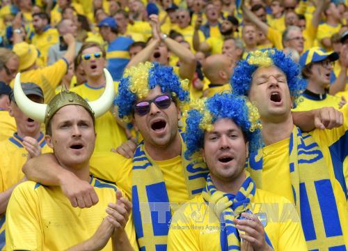 Sắc màu cổ động viên EURO 2016 ảnh 15