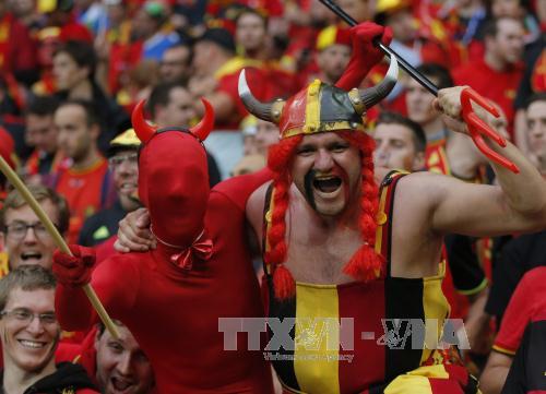 Sắc màu cổ động viên EURO 2016 ảnh 16