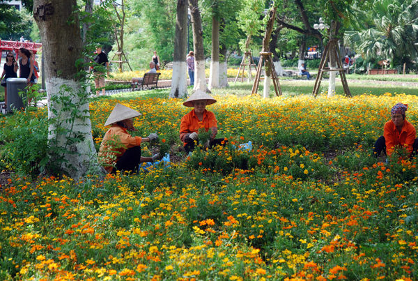 Nhọc nhằn mưu sinh trong nắng nóng 55 độ C ảnh 4