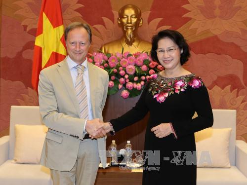 Chủ tịch Quốc hội tiếp các Đại sứ ảnh 1