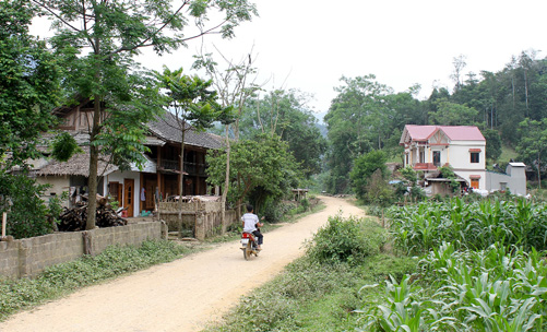 Diện mạo nông thôn mới ở xã 135 ảnh 2