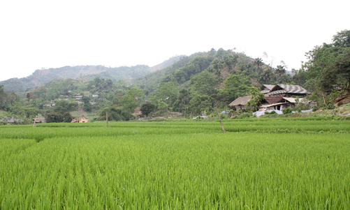 Diện mạo nông thôn mới ở xã 135 ảnh 3