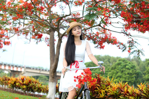 Góc trời mùa hạ ảnh 1