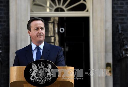 Bremain sẽ lại lật đổ Brexit? ảnh 1