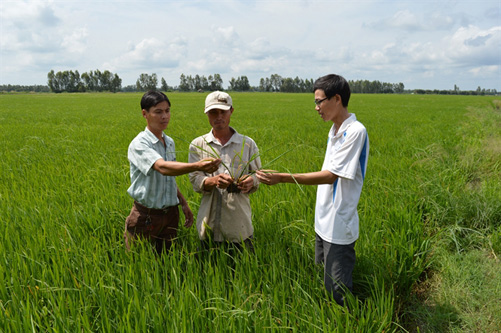 Hỗ trợ đất sản xuất cho đồng bào Khmer ảnh 1