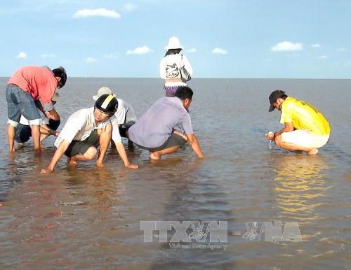 Bạc Liêu điều tra nguyên nhân nghêu chết hàng loạt ảnh 1