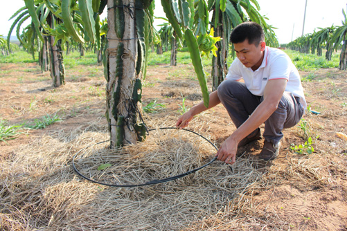 Khó khăn đầu tư nông nghiệp công nghệ cao ảnh 1