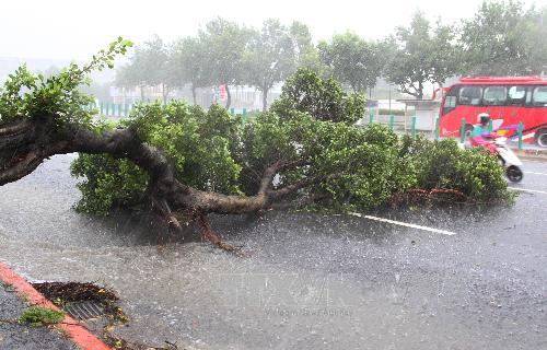 Cảnh báo: 2 ngày tới, Hà Nội có thể mưa rất to và dông mạnh ảnh 1