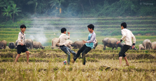 Bóng ơi… ảnh 1