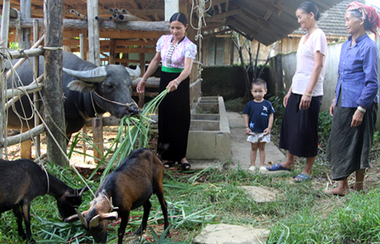 Chị Lơi làm kinh tế giỏi ảnh 1