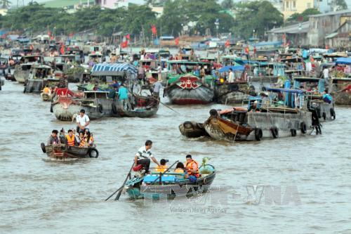Cần Thơ triển khai đề án Bảo tồn chợ nổi Cái Răng ảnh 1