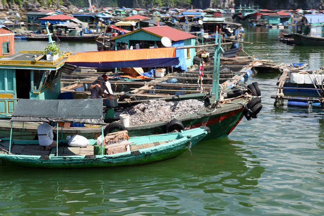 Mê mẩn với cảnh đẹp Cát Bà ảnh 18