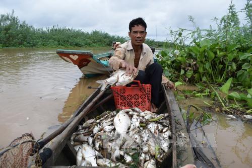Nguyên nhân cá chết hàng loạt ở thượng nguồn sông Sài Gòn ảnh 1