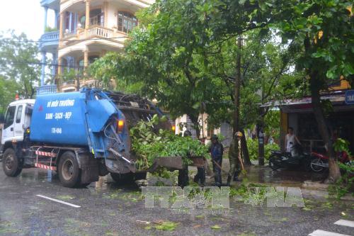 Bão số 1 càn quét Thái Bình, quật đổ hàng loạt cây xanh ảnh 1