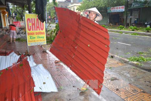 Bão số 1 càn quét Thái Bình, quật đổ hàng loạt cây xanh ảnh 5