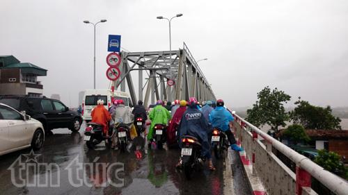 Mưa bão quật đổ nhiều cây xanh ảnh 2