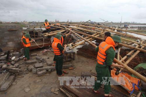 Nam Định thiệt hại nặng do bão, một CSGT bị thương ảnh 1