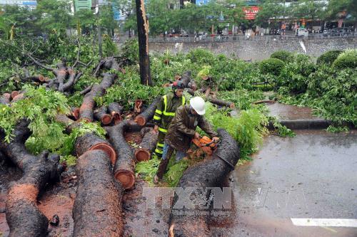 Những việc cần làm trong mùa mưa bão ảnh 2