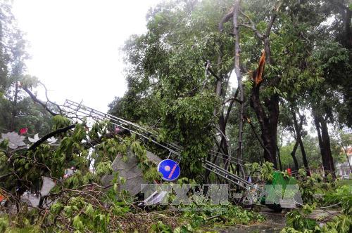 Giông lốc, sét đánh ở Lào Cai: 5 người thương vong ảnh 1