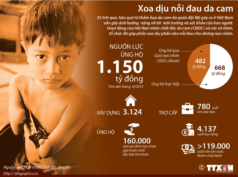 Xoa dịu nỗi đau da cam ảnh 1
