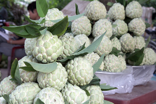Na dai làm giàu dài dài ảnh 1