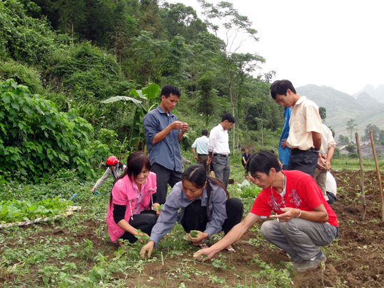 Nâng cao chất lượng nguồn nhân lực ở Tây Bắc ảnh 1