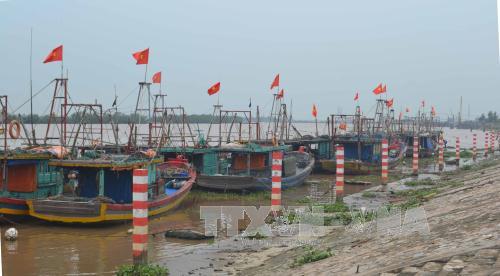 Hải Phòng, Thái Bình gấp rút phòng chống bão số 3 ảnh 1