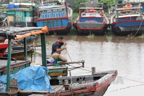 Đảm bảo an toàn cho các tuyến đê trước bão số 3 ảnh 1
