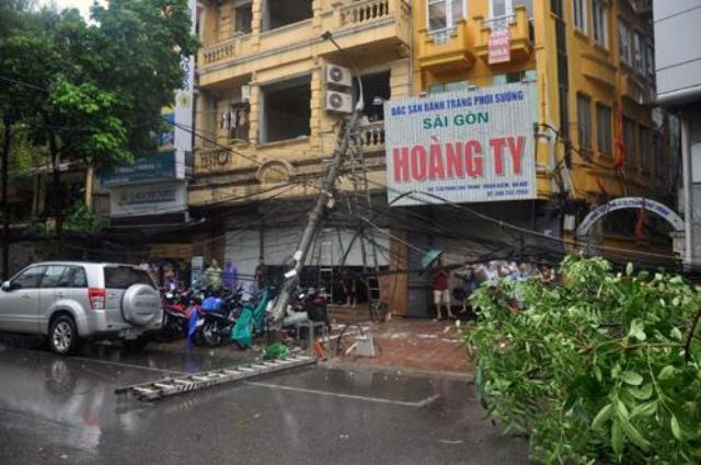 Hà Nội: Xà cừ bật gốc kéo gẫy 3 cột điện ảnh 2