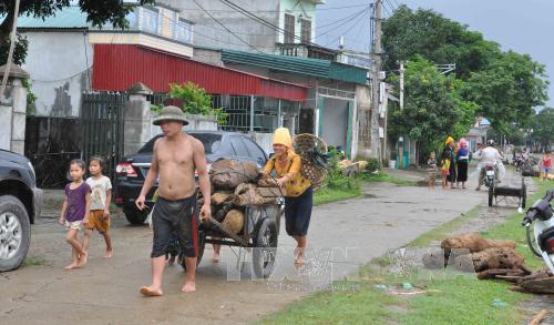 Người dân Yên Bái liều xuống dòng lũ xiết vớt gỗ ảnh 6