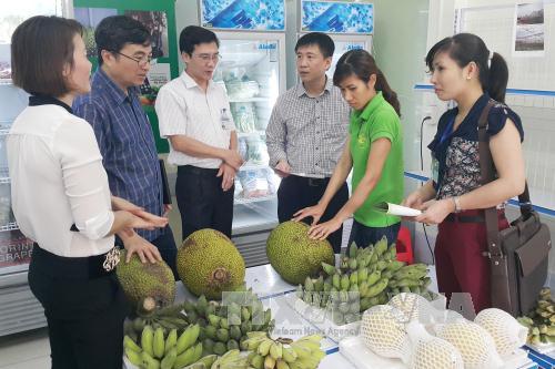 "Đón sóng" thực phẩm sạch: Yếu tố cốt lõi là niềm tin ảnh 1
