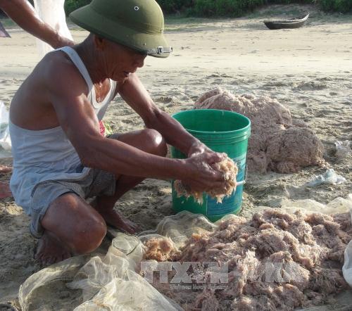 Kiến nghị Formosa có trách nhiệm với DN xuất khẩu thủy sản ảnh 1