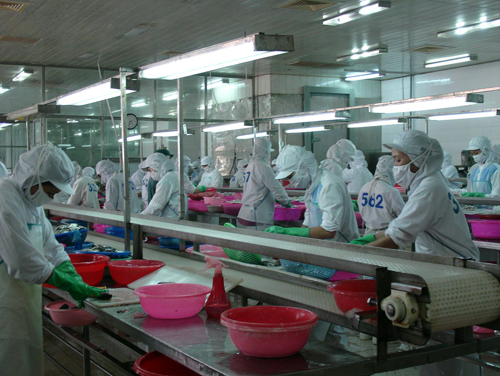 Khan hiếm nguyên liệu chế biến thủy sản ảnh 1