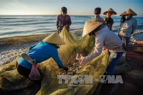 Kéo rùng - nghề truyền thống độc đáo của ngư dân xứ Thanh ảnh 5