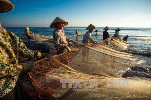Kéo rùng - nghề truyền thống độc đáo của ngư dân xứ Thanh ảnh 9