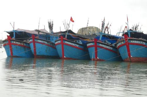 Miền Trung: Tàu về bến, dân chèn chống nhà cửa phòng bão ảnh 2