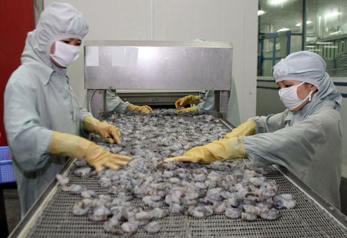 Tôm Việt thêm khó khi Hoa Kỳ tăng thuế chống phá giá ảnh 1