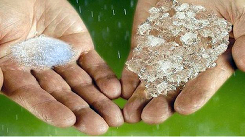 Chống hạn bằng “mưa thể cứng" ảnh 1