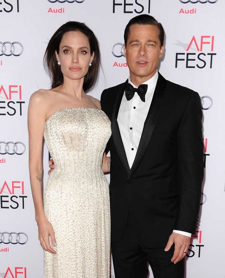 12 năm mặn nồng của cặp đôi quyền lực "Brangelina" ảnh 9
