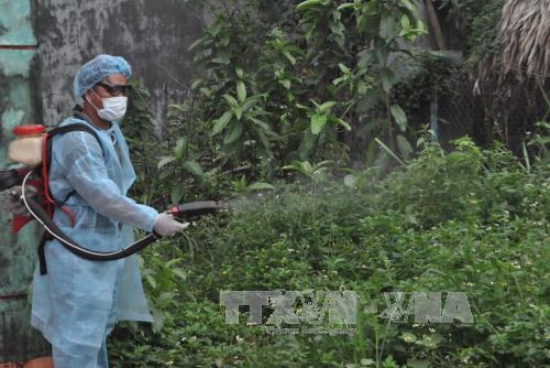 Sốt xuất huyết gia tăng tại TP Hồ Chí Minh ảnh 1