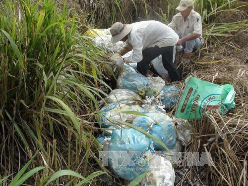 Làm rõ vụ chôn lén hàng tấn rác thải y tế tại Bệnh viện Đà Bắc ảnh 1