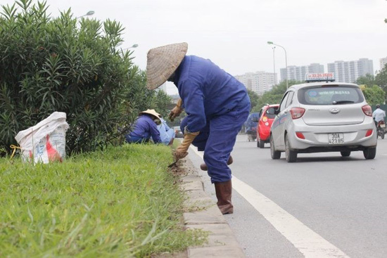 Hà Nội cắt giảm 708 tỷ đồng duy trì cây xanh ảnh 1