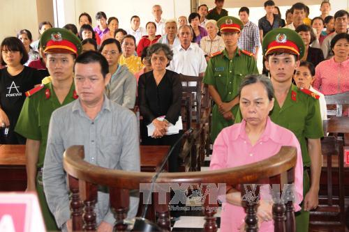 Lĩnh 12 năm tù vì lừa đảo qua internet ảnh 1