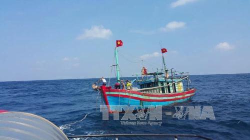 Lai dắt tàu bị nạn vào bờ an toàn ảnh 1